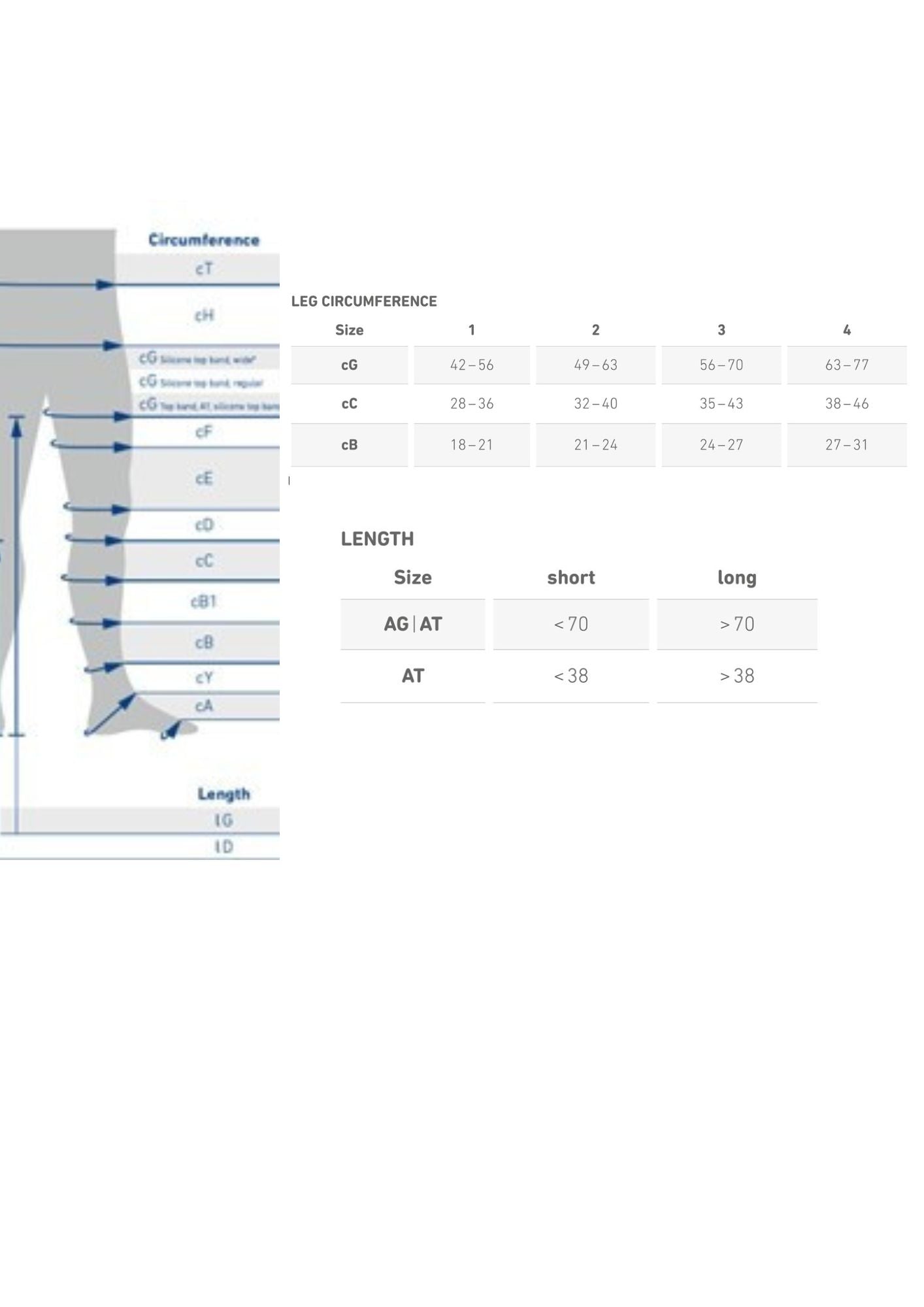 VenoTrain Discretion  - Strømpebuks (AT)